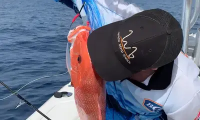 Galveston Report Video 0