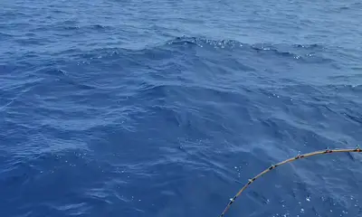 Galveston Видео отчет 0