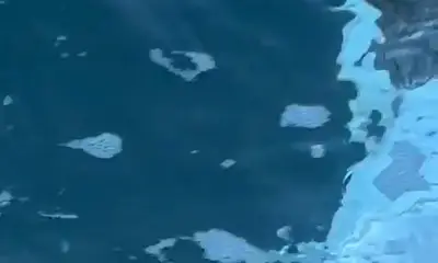 Barcelona Verslag Video 0