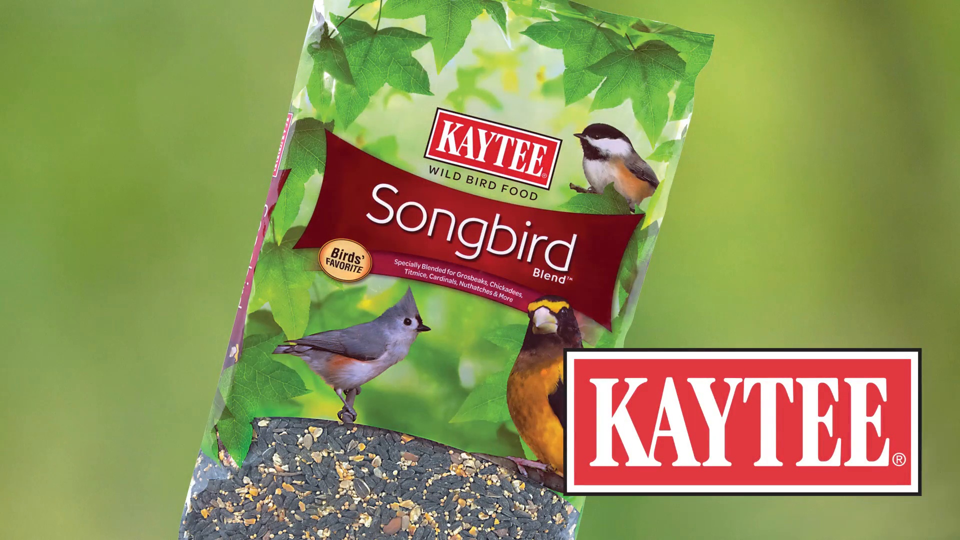 kaytee songbird