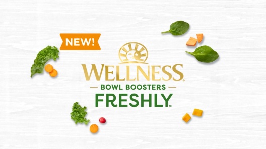 Play Video: Learn More About Wellness From Our Team of Experts