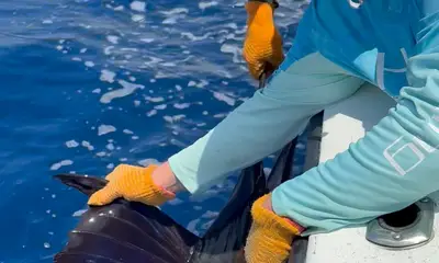 Best fishing trip ever. 