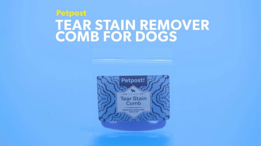 Play Video: Learn More About Petpost From Our Team of Experts
