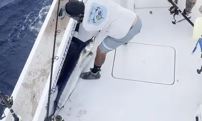 Miami-Dade County Report Video 0