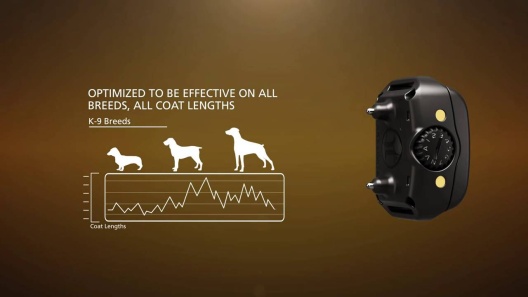 Play Video: Learn More About Garmin From Our Team of Experts