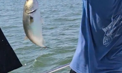 Chesapeake Beach Report Video 0