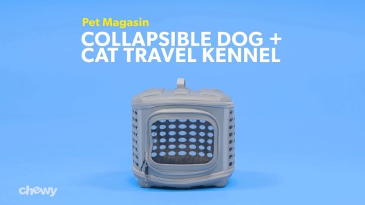 Play Video: Learn More About Pet Magasin From Our Team of Experts