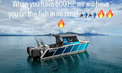 Australia Report Video 0