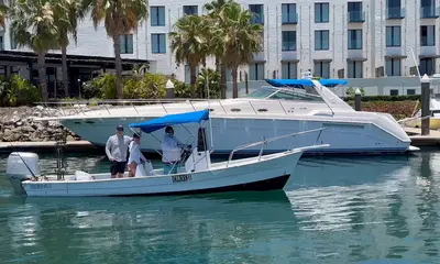 San Jose del Cabo Report Video 0