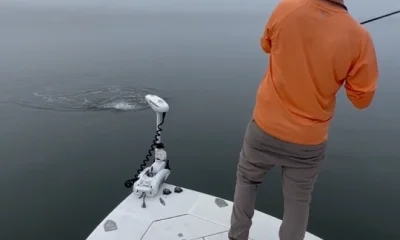 Cedar Key Report Video 0