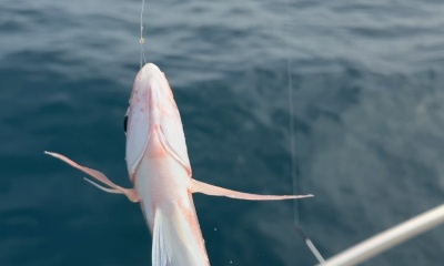 Fishing with Antonio