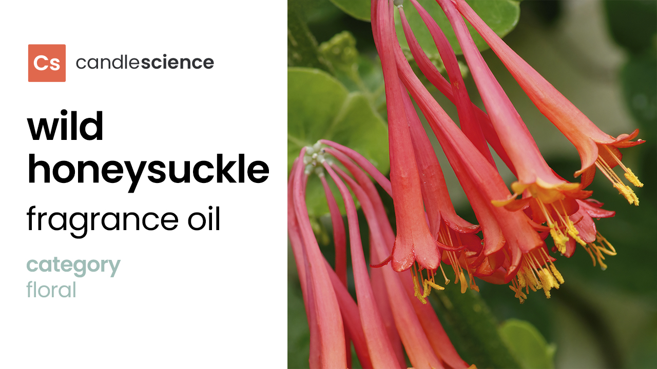 Wild Honeysuckle Fragrance Oil - CandleScience