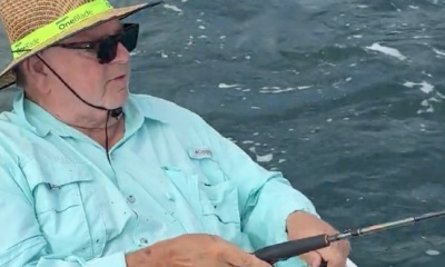 fish frenzy by the iconic Bridge and opera house