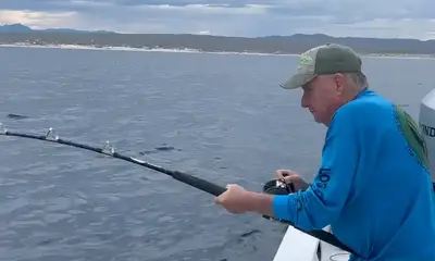 San Jose del Cabo Report Video 0