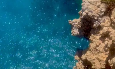 Fantastic Trip!