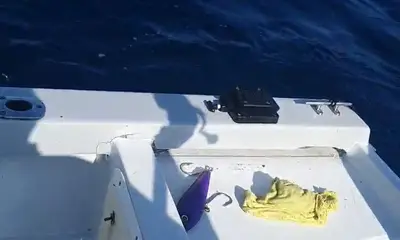 Cabo San Lucas Report Video 0