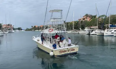 Puerto Aventuras Report Video 0