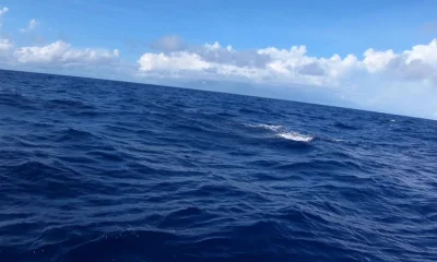 Port Vila Report Video 0