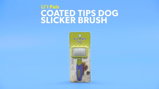 Play Video: Learn More About Li'l Pals From Our Team of Experts