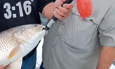 San Antonio Report Video 0