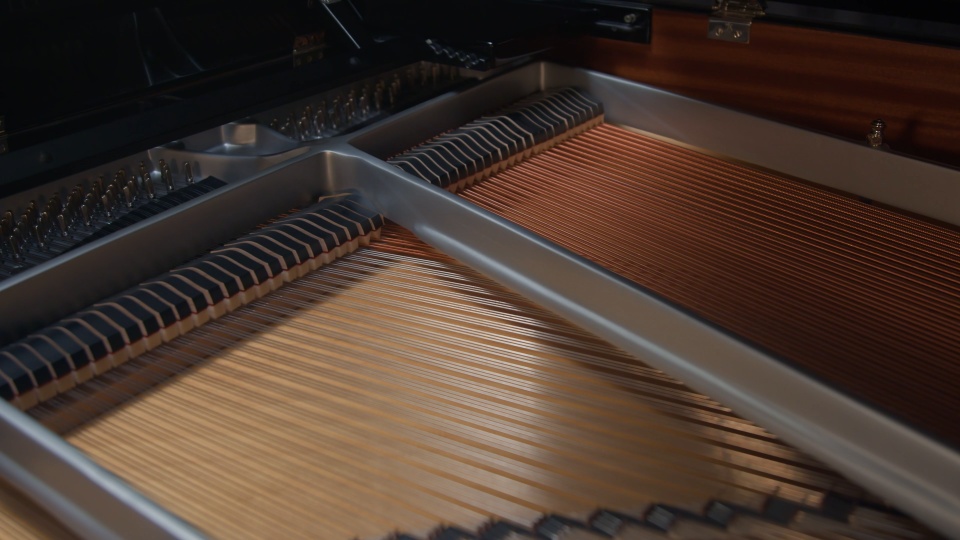 2021 Steinway Grand S