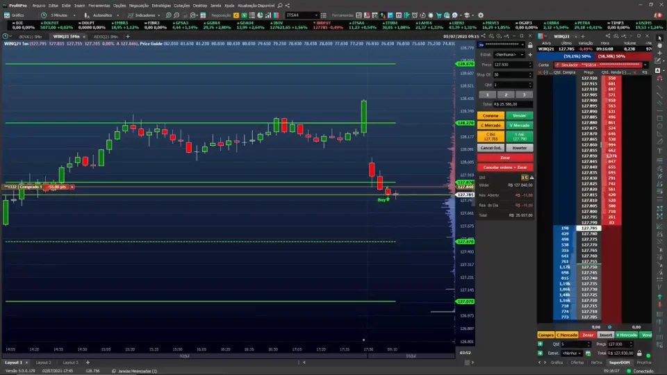 Curso de Ações, Viana Trader