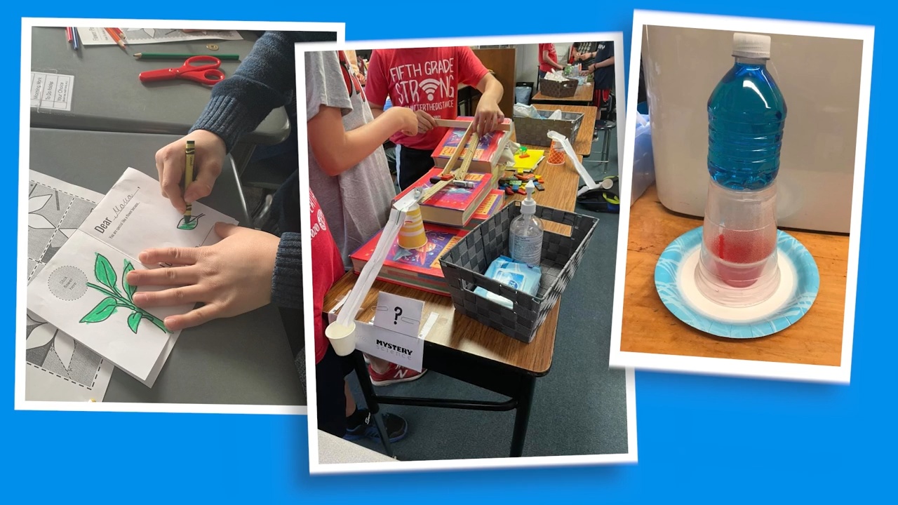 Mystery Science For Elementary Students