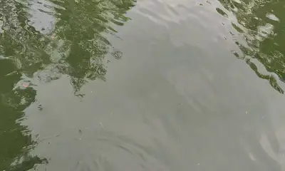 Atlanta Video Report 1