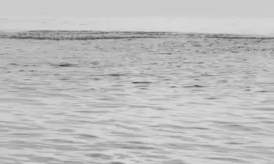 Narragansett Report Video 0