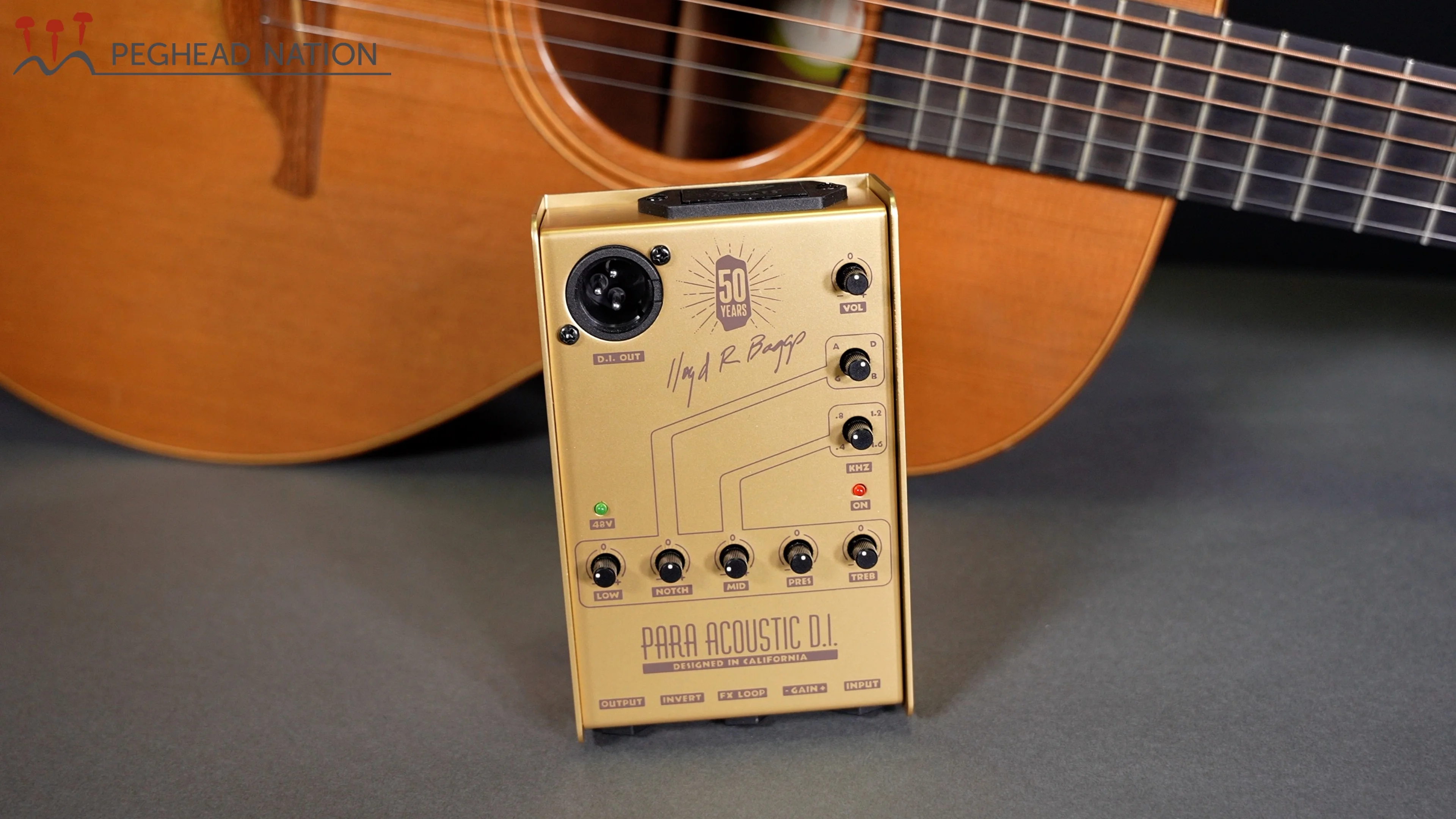 Baggs Acoustic DI Para LR Preamp Guitar — + Gold com: D.I Session