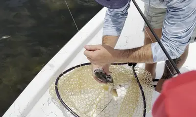 Great Trip for Young Anglers