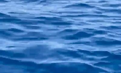 San Jose del Cabo Report Video 0