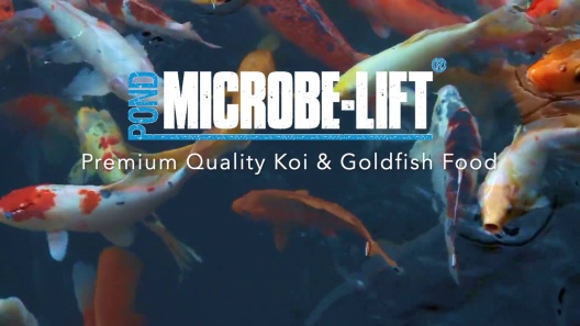 Play Video: Learn More About Microbe-Lift From Our Team of Experts