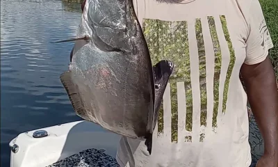 Delray Beach Report Video 0