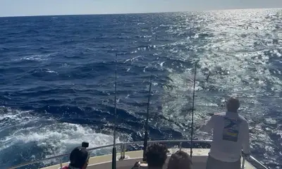 Marlin tail 2 Mahis & a Tuna