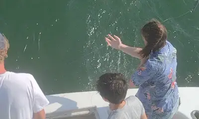 Wanchese Report Video 0