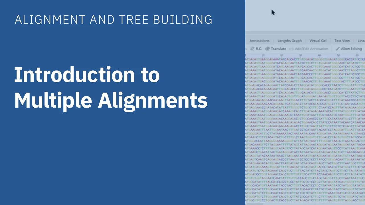 Building Phylogenetic Trees