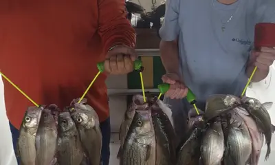 Lake Tawakoni Report Video 2