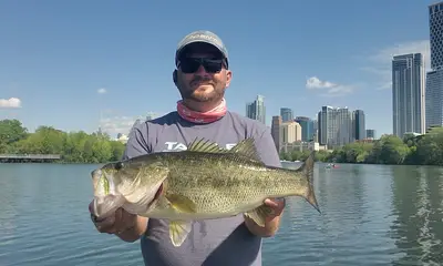 Austin Verslag Video 0