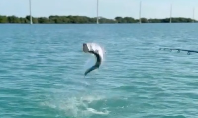 Islamorada Report Video 0