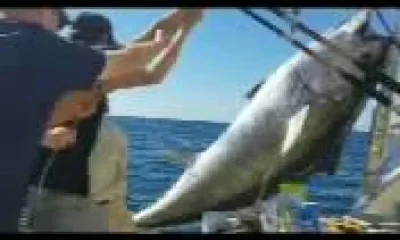 Gloucester Report Video 0