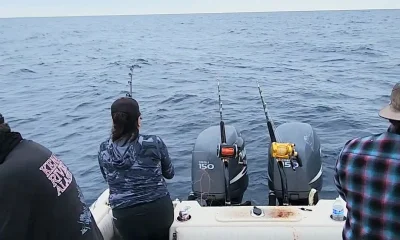 San Diego Report Video 0