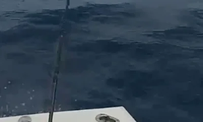 Pompano Beach Report Video 0