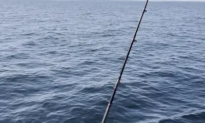 Massachusetts Report Video 2