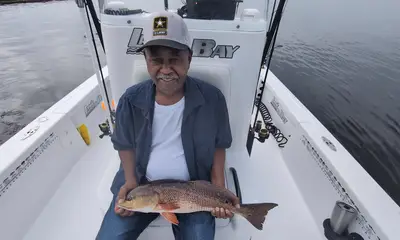Jacksonville Report Video 0