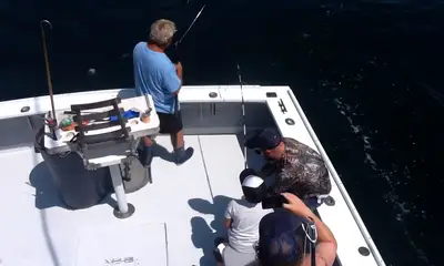 Montauk Report Video 0