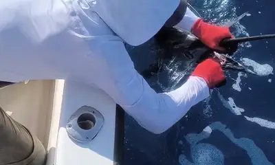 Osa Peninsula Report Video 1