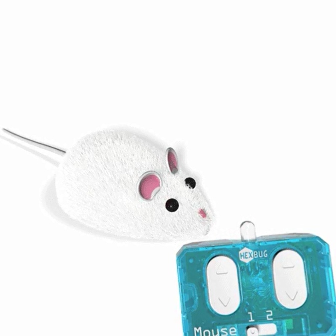 remote controlled mouse