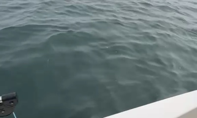 Great fishing trip
