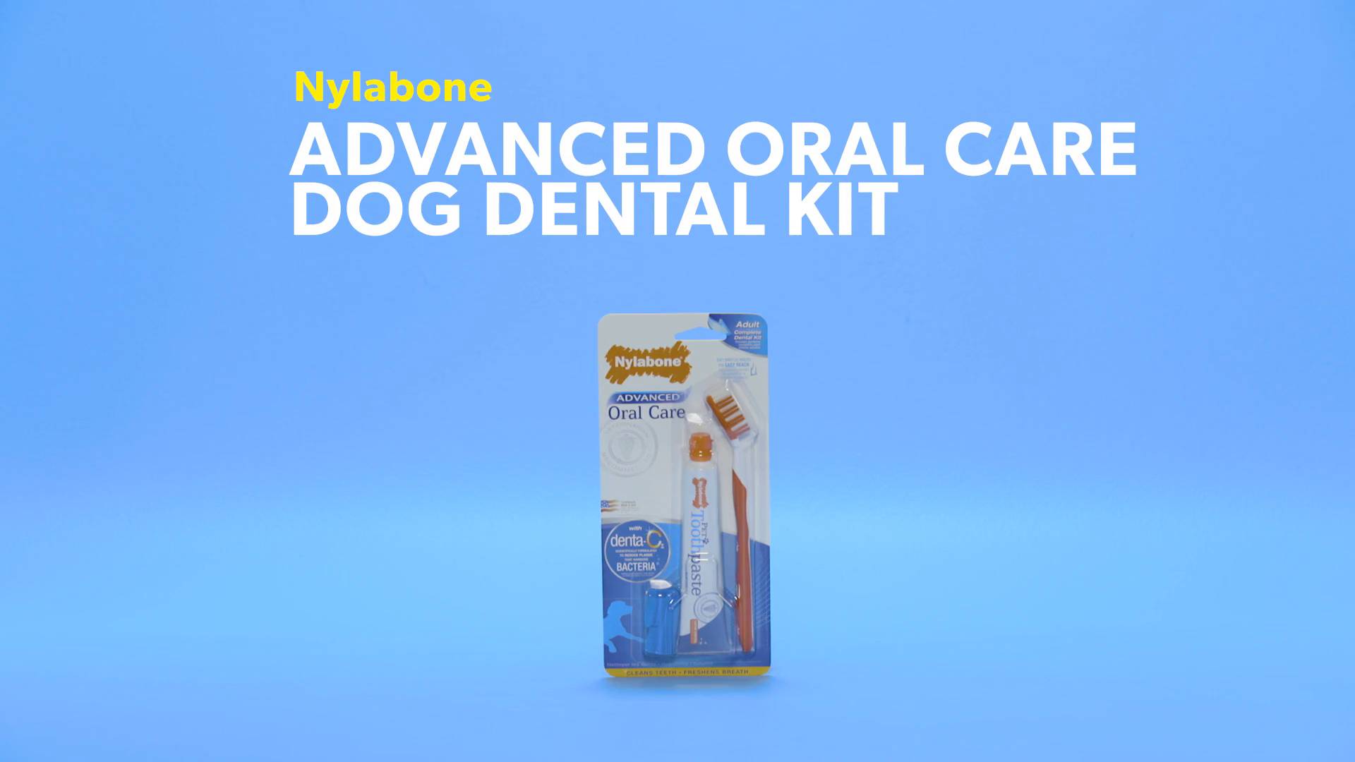 Nylabone advanced oral care hotsell dental kit